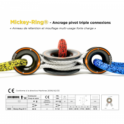 Ancrage pivot triple connexions - Mickey-Ring® 3D | Nodusfactory-Industry