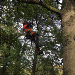 Harken Foot Clamp | Ninja