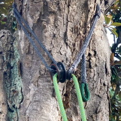 Adjustable cambium saver - Treering-Adjust® | Nodusfactory-Industry